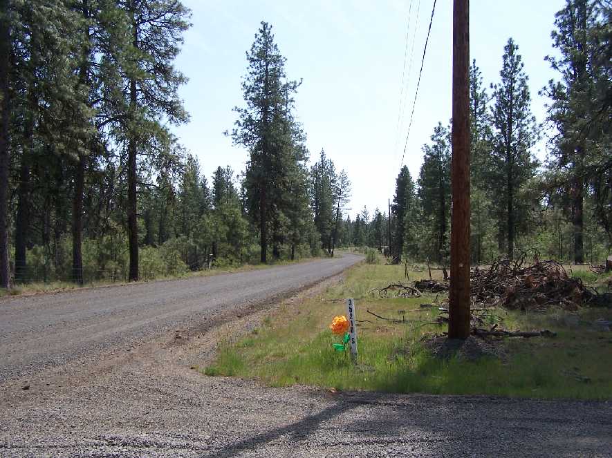 4 long road looking south